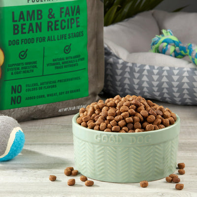Lamb & Fava Bean Recipe Dry Dog Food - Grain Free - Supports Immune System, Digestion, and Coat Health - Natural with Added Vitamins, Minerals - 24 lbs