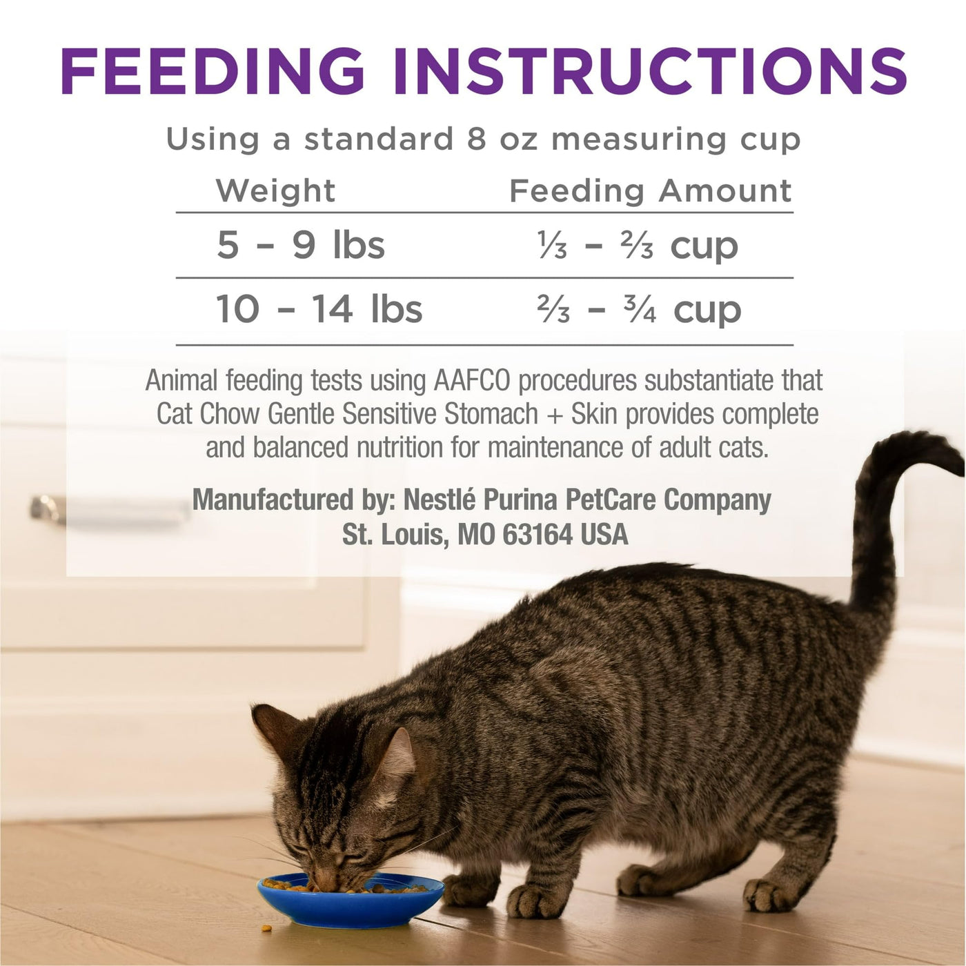 Sensitive Stomach Dry Cat Food, Turkey - Protein Rich with Real Farm Raised Turkey - Omega 6 Fatty Acids to Promote Healthy Skin and a Shiny Coat - 3.15 lb Bag