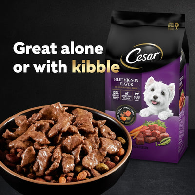 Trase A Filets in Gravy Variety Pack Wet Dog Food Adult - Complete and Balanced Meal or Dry Food Complement - 3.5 Oz Pack of 24