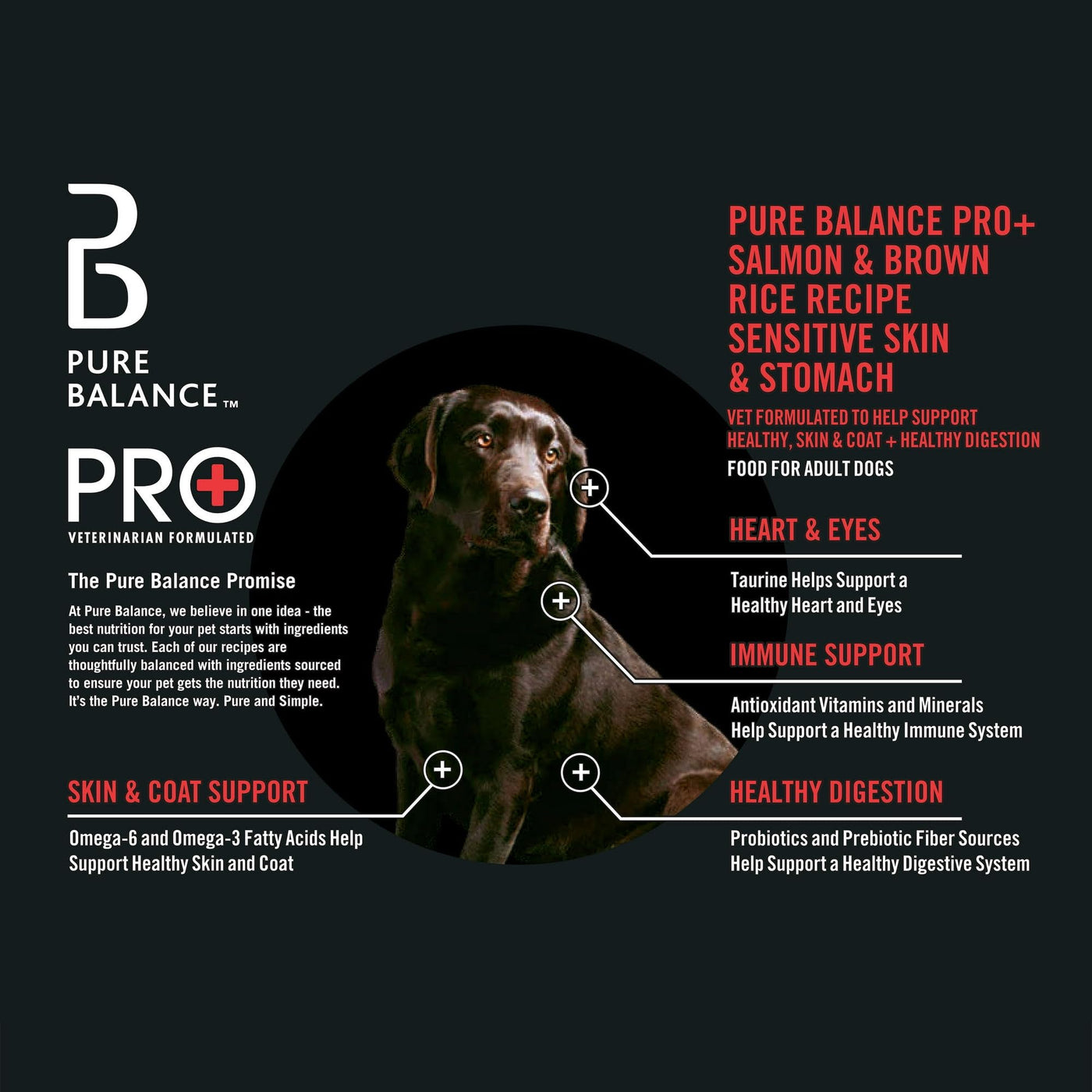Trase A Pro+ Sensitive Skin & Stomach Dog Food - Salmon & Rice Recipe - Antioxidant Vitamins and Minerals Help Support a Healthy Immune System - Probiotics and Prebiotic Fiber Sources - 8 lb Bag