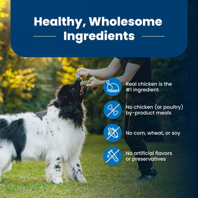 Trase A Life Protection Formula Adult Chicken & Brown Rice Recipe Dry Dog Food - Helps Build and Maintain Strong Muscles - Made with Natural Ingredients - 24 lb