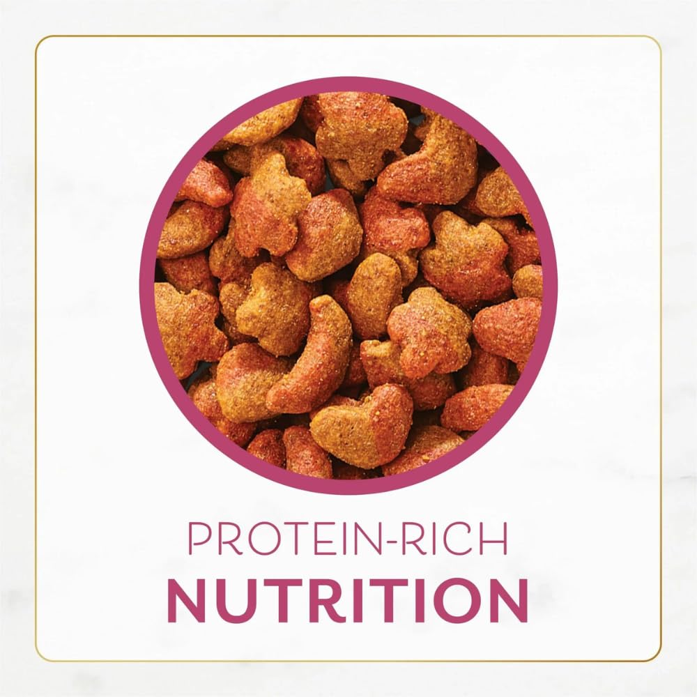 Trase A Indoor Dry Cat Food, Filet Mignon Flavor with Real Shrimp and Seafood, 3 lb Bag