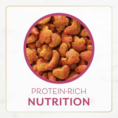 Trase A Indoor Dry Cat Food, Filet Mignon Flavor with Real Shrimp and Seafood, 3 lb Bag