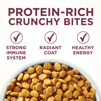 Uniary Tract Health Formula Dry Cat Food Made with Real Chicken - Crunchy Cat Dry Food Kibble - Promote Healthy Skin and a Soft, Luxurious Coat - 7 lb Bag