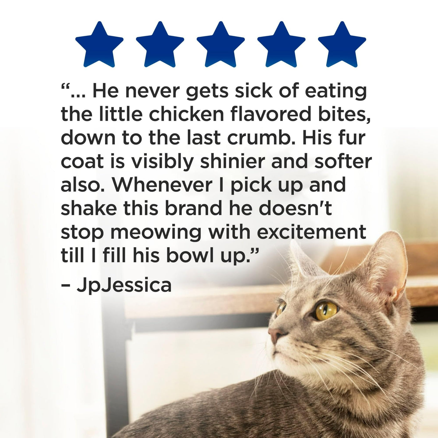 Trase A Dry Cat Food for Skin and Coat Care - Complete Cat Food Kibble - Ideal for Cats of All Ages - 25 Vitamins and Minerals - 15 lb Bag
