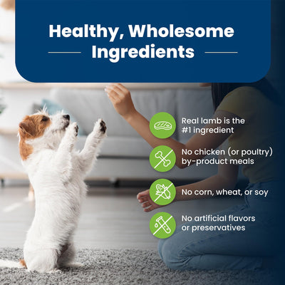 Life Protection Formula Small Breed Dry Dog Food - Lamb & Brown Rice - Supports High Energy Needs with Increased Levels of Protein and Carbohydrates - 15 lbs.