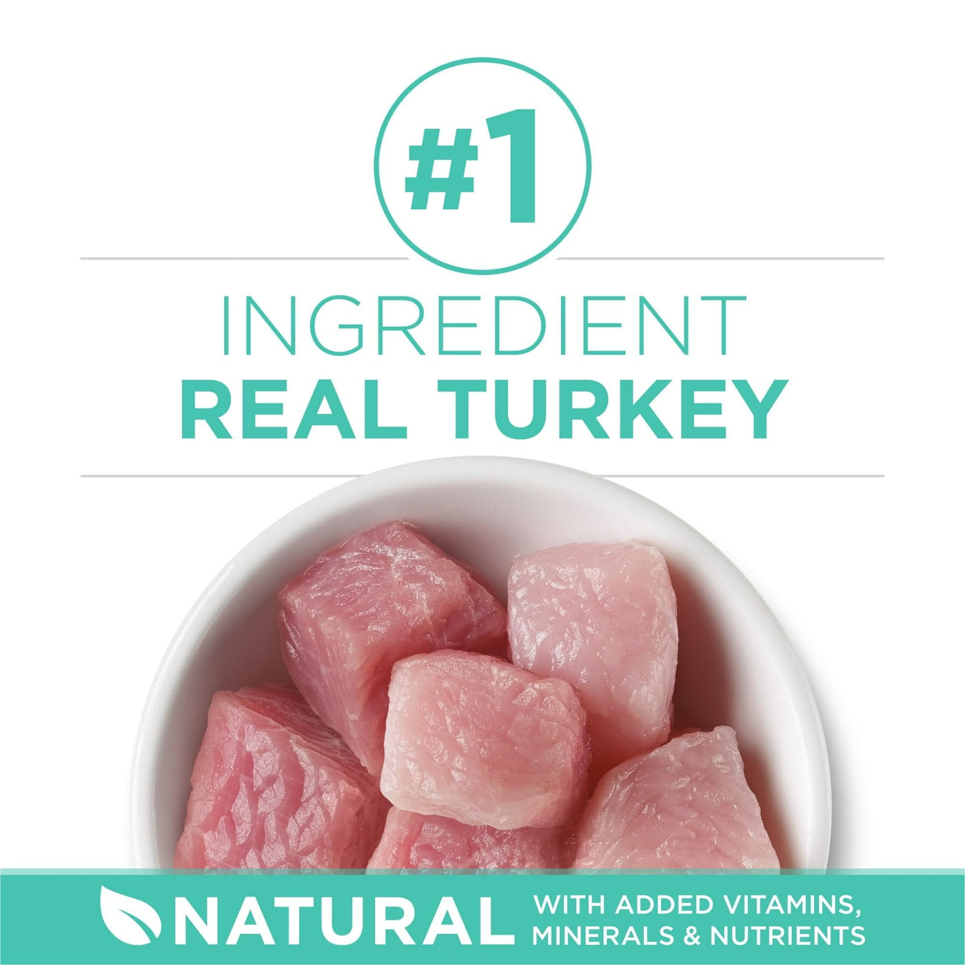Sensitive Skin & Stomach Dry Cat Food - Real Turkey - Easily Digestible Formula for Cats with Sensitive Systems - Natural with Added Vitamins, Minerals, and Nutrients - 7 lb Bag