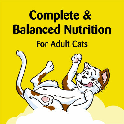Tasty Chicken Flavor Crunchy and Soft Cat Treats - Cat Food Treats Crunchy Outside Soft Inside - 48 oz Pouch
