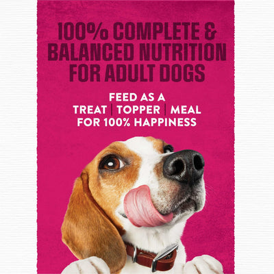 Trase A Dry Dog Food - High Protein Steak Flavor with Real Beef - Adult Dog Food Nutrition - 6 oz Pouches (36 Pack)