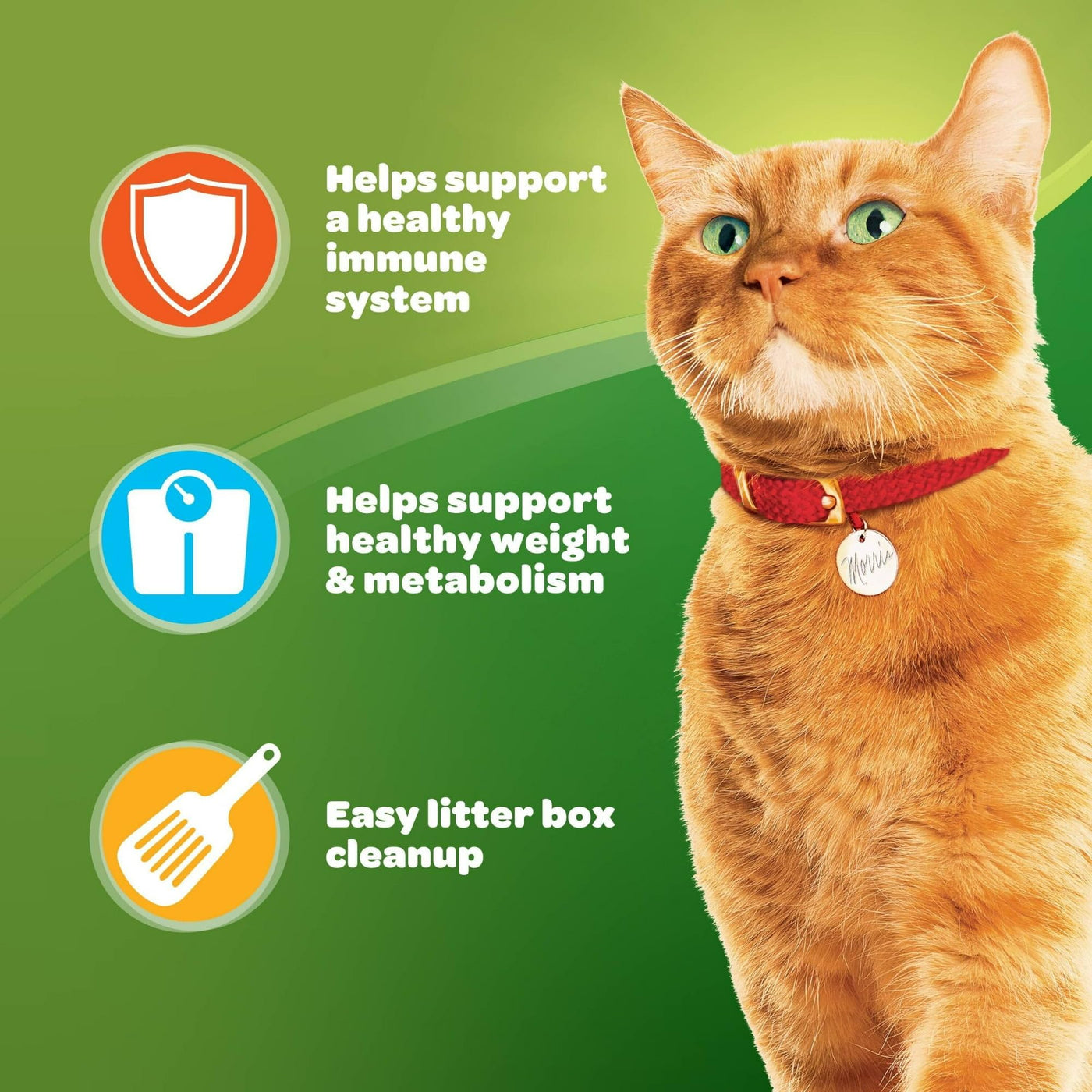 Trase A Indoor Complete Dry Cat Food - Delicious Flavors of Chicken and Salmon - Lean Protein Helps Support Healthy Weight and Metabolism - 20 lb. Bag