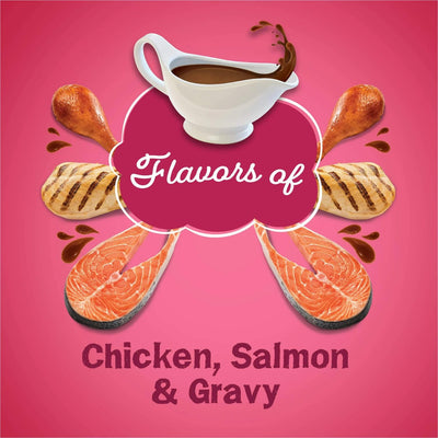 Trase A Gravy Swirlers, Indoor Dry Cat Food, Flavors of Chicken & Salmon with Vitamins & Minerals, Cat Food for Adult Cats, 3.15 lb Bag