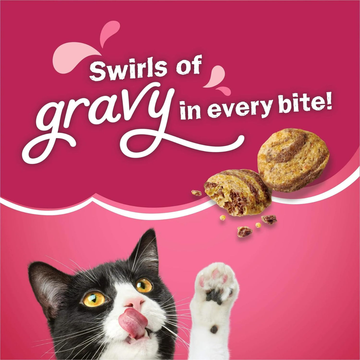 Trase A Gravy Swirlers, Indoor Dry Cat Food, Flavors of Chicken & Salmon with Vitamins & Minerals, Cat Food for Adult Cats, 3.15 lb Bag