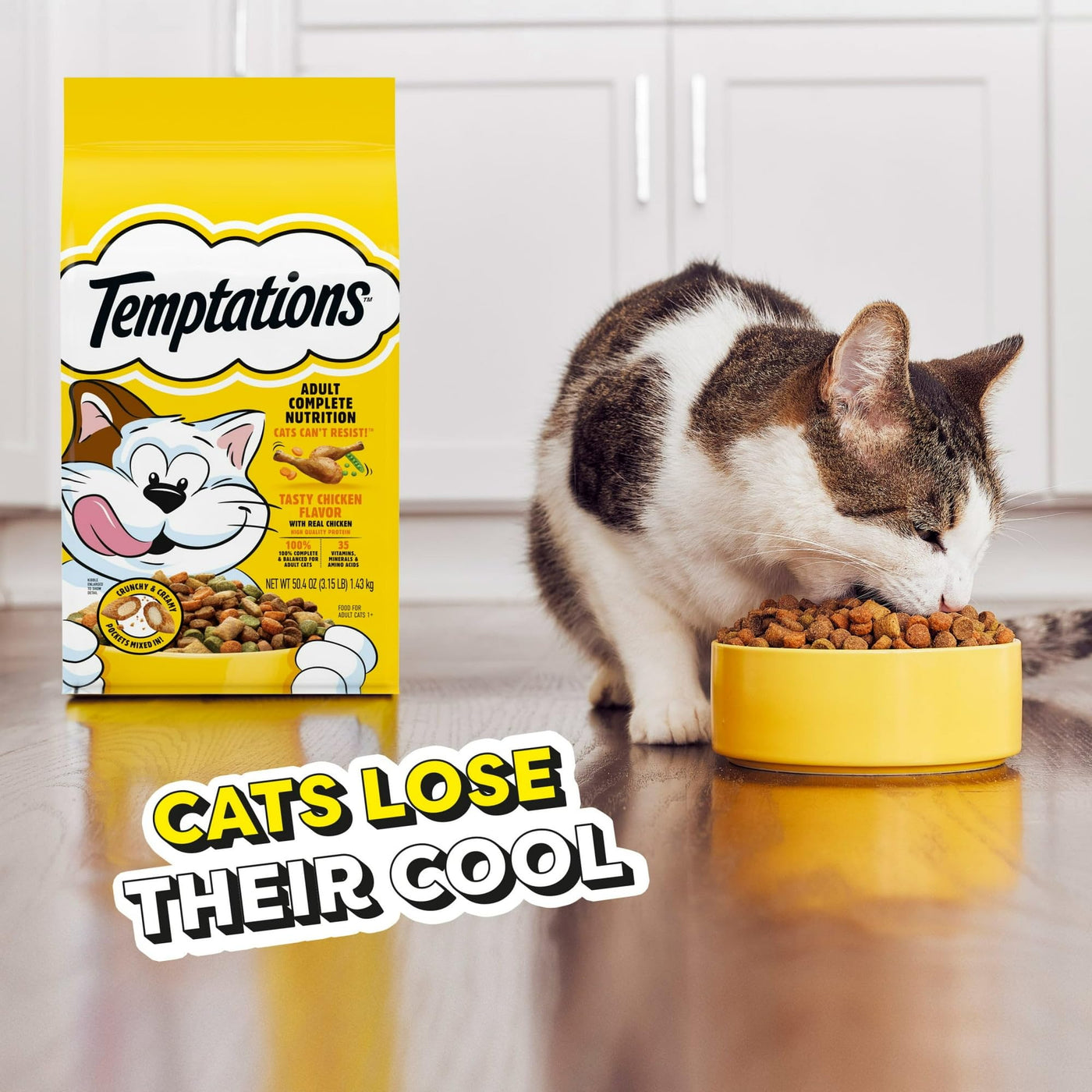 Trase A Tasty Chicken Flavor Adult Dry Cat Food - Made with Real Chicken - Crunchy & Creamy Pockets Mixed in - 35 Vitamins, Minerals, and Amino Acids - 3.15 lb Bag