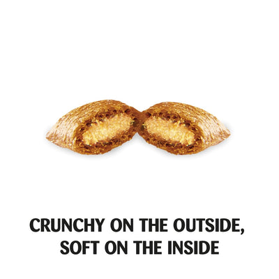 (2 Pack) Tasty Chicken Flavor Crunchy and Soft Cat Treats - Cat Food Treats Crunchy Outside Soft Inside - 16 Oz Tub