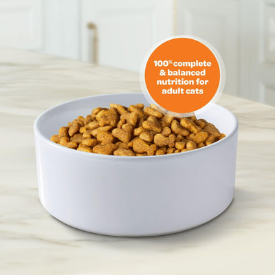 Gentle Care Dry Cat Food for Adult Cats - Delicious Flavors of Chicken and Turkey - Helps Support Digestive Health - 15.5 lb Bag