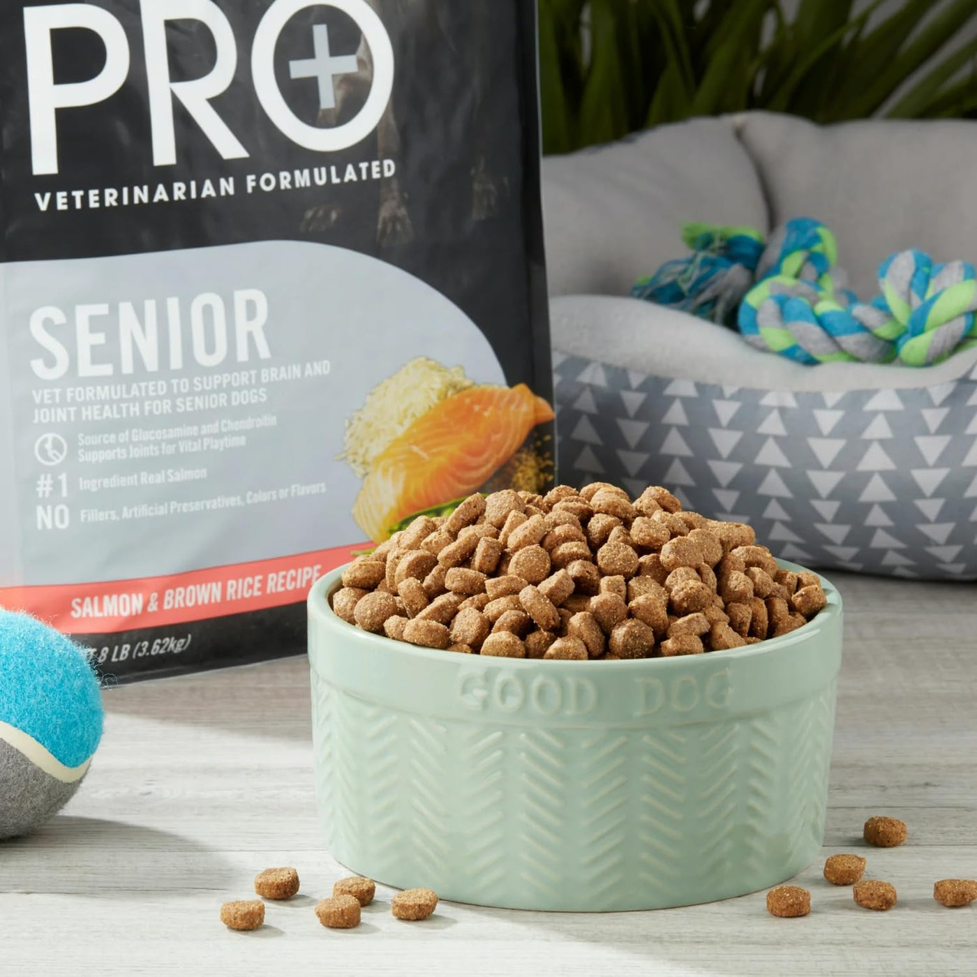 Trase A Pro+ Senior Salmon & Brown Rice Recipe Dry Dog Food, Real Salmon is The First Ingredient, 8 lbs