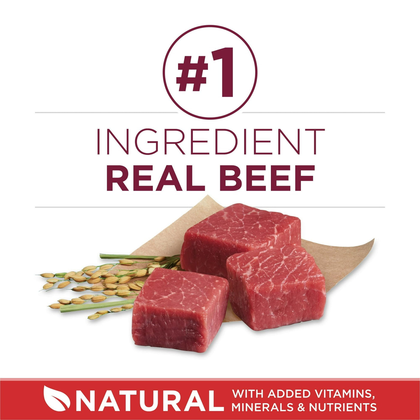 Trase A Small Bites Dry Dog Food for Adult Dogs with Added Vitamins & Minerals - High Protein Beef & Rice - Supports Healthy Skin and Coat for Dogs - 8 lb Bag