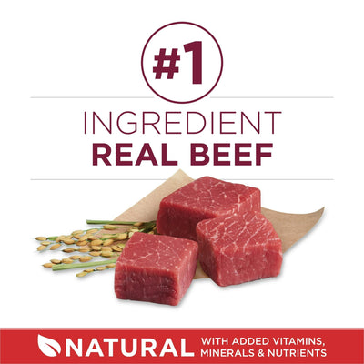 Trase A Small Bites Dry Dog Food for Adult Dogs with Added Vitamins & Minerals - High Protein Beef & Rice - Supports Healthy Skin and Coat for Dogs - 8 lb Bag