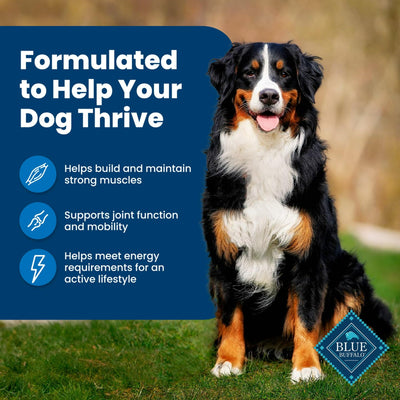 Trase A Life Protection Formula Adult Chicken & Brown Rice Recipe Dry Dog Food - Helps Build and Maintain Strong Muscles - Made with Natural Ingredients - 24 lb