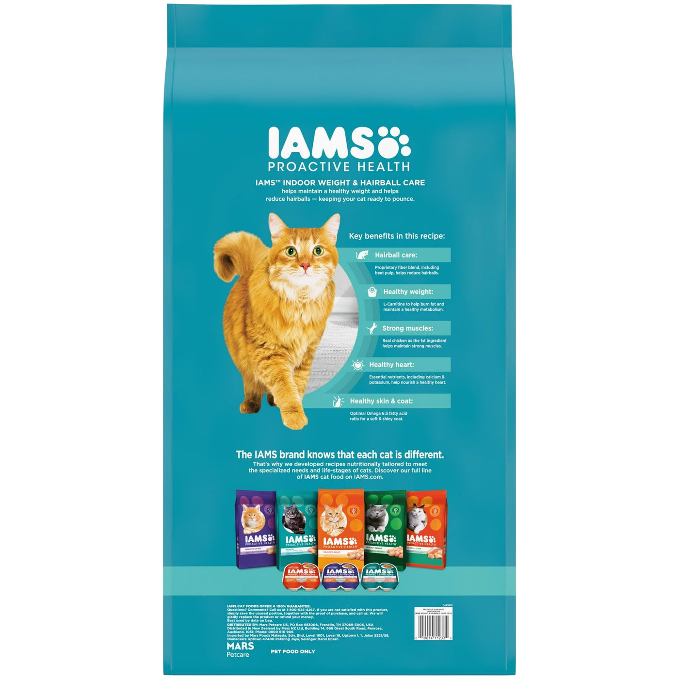 Proactive Health Chicken and Turkey Dry Cat Food - Dry Cat Food Supports Whole-Body Health with Essential Nutrients - 22 Lb Bag