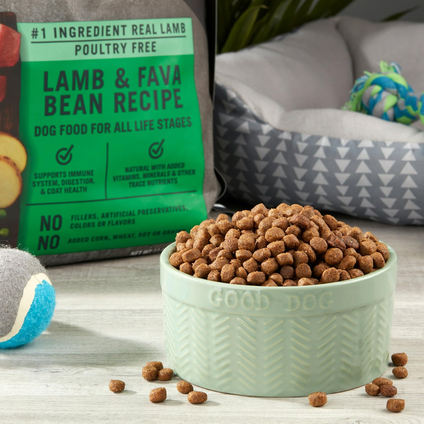 Lamb & Fava Bean Recipe Dry Dog Food for Dogs of All Life Stages - Grain Free - Supports Immune System, Digestion, and Coat Health - Natural with Added Vitamins, Minerals - 11 lbs