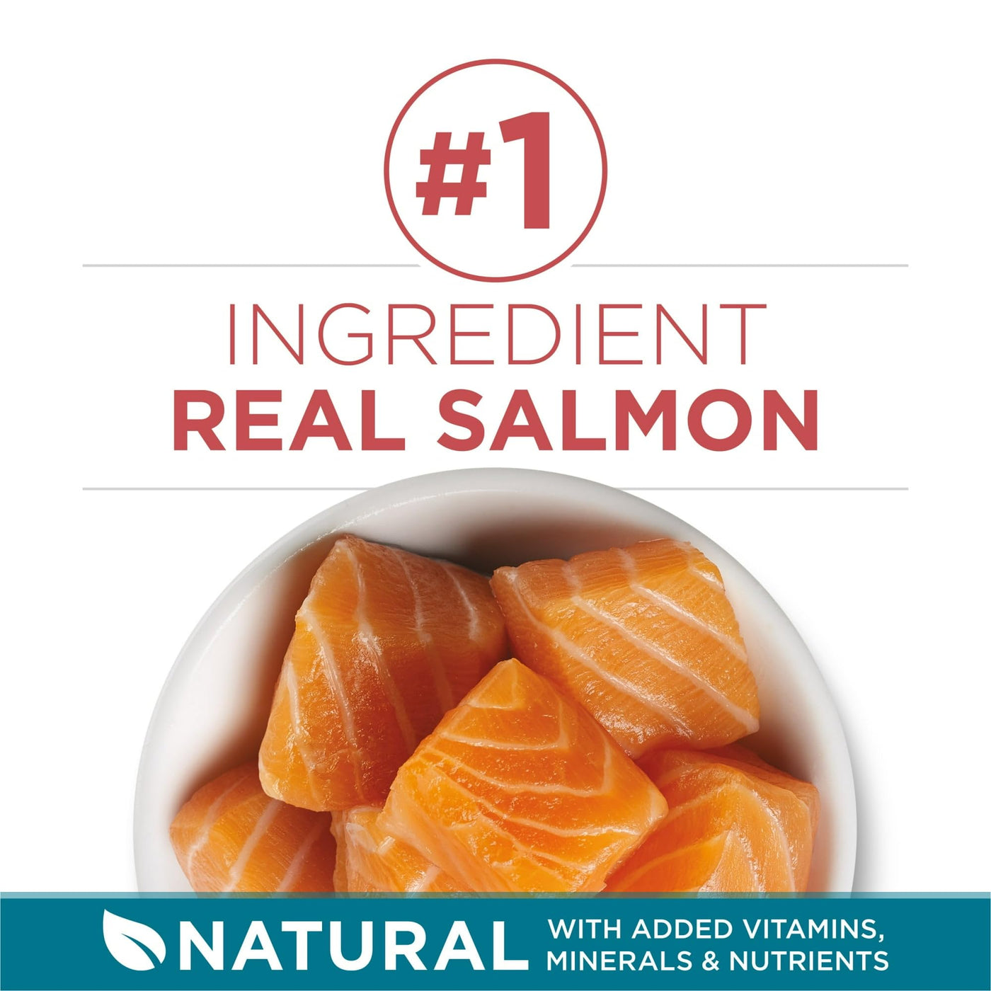 Tender Select Blends Dry Cat Food - Real Salmon - High Protein Helps Support Strong Muscles - Complete and Balanced Nutrition for Adult Cats - 7 lb Bag