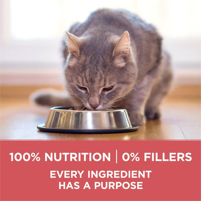 Trase A Dry Cat Food for Healthy Weight with Real Salmon - High Protein Cat Food Helps Support Strong Muscles - 3.5 lb Bag