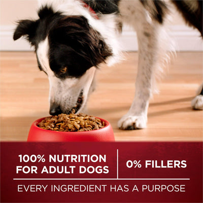 Dry Dog Food for Adults - High Protein Real Turkey & Vension - Support Strong Muscles, Healthy Heart - Natural Dog Food with Added Vitamins, Minerals and Nutrients - 15 lb Bag
