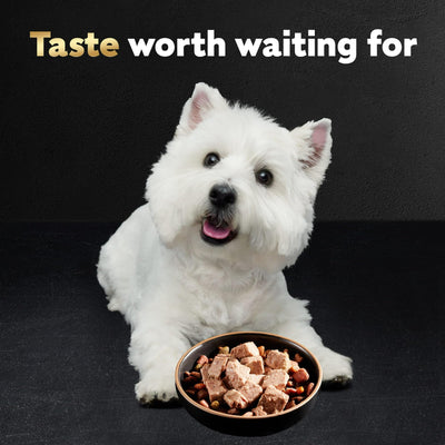 (3 Pack) Adult Classic Turkey with Loaf in Sauce Wet Dog Food - 3.5 oz Tray - Complete and Balanced and Fortified with Vitamins and Minerals to Help Dogs