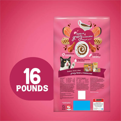 Gravy Swirlers, Indoor Dry Cat Food, Flavors of Chicken, Salmon & Gravy with Vitamins & Minerals, Cat Food for Adult Cats, 16 lb Bag