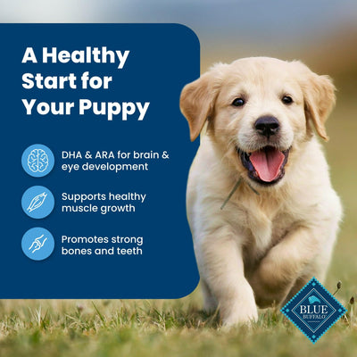 Trase A Life Protection Formula Puppy Dry Dog Food with DHA and ARA - Made with Natural Ingredients - Chicken & Brown Rice - Support Cognitive Function and Retinal Health - 5 lbs