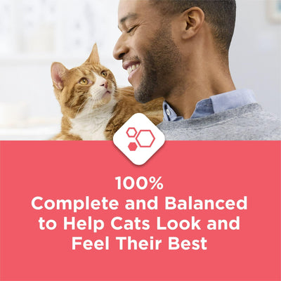 Trase A High Protein Salmon Dry Cat Food - Contains All 25 Essential Vitamins and Minerals - Omega 6 Fatty Acids for a Shiny Coat - 15 lb Bag