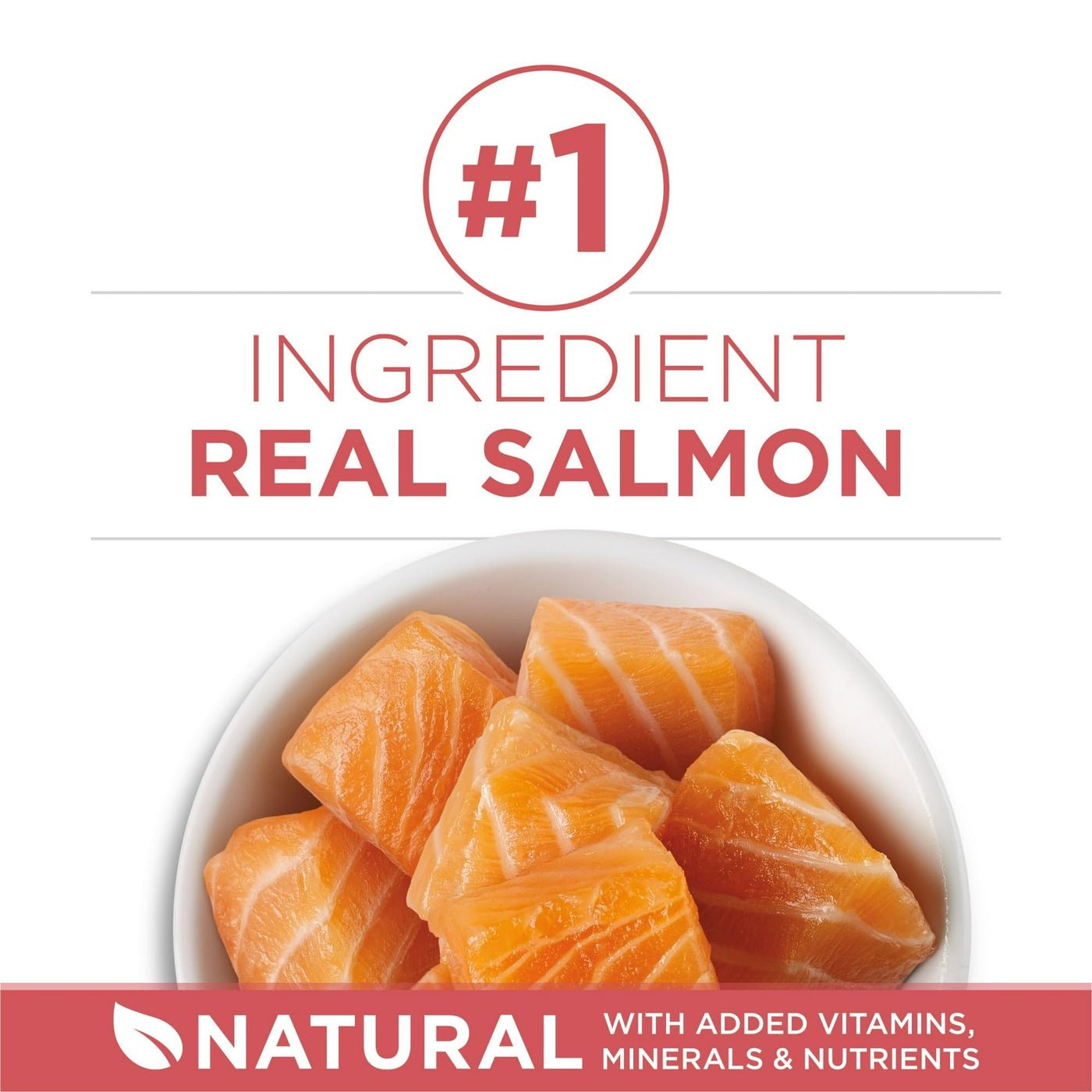 Trase A Dry Cat Food for Healthy Weight with Real Salmon - High Protein Cat Food Helps Support Strong Muscles - 3.5 lb Bag
