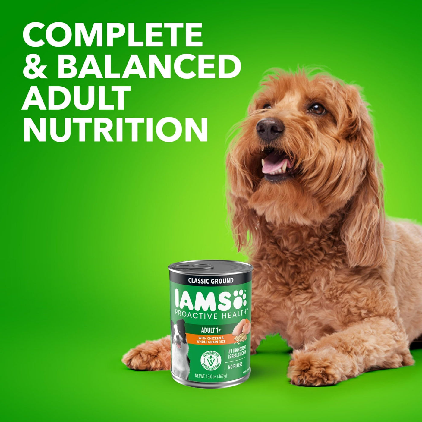 Trase A Proactive Health Chicken and Whole Grain Rice Wet Dog Food - Contains Omega 6 Fatty Acids to Support Healthy Skin and a Soft, Shiny Coat - 13 Oz Cans (6 Pack)