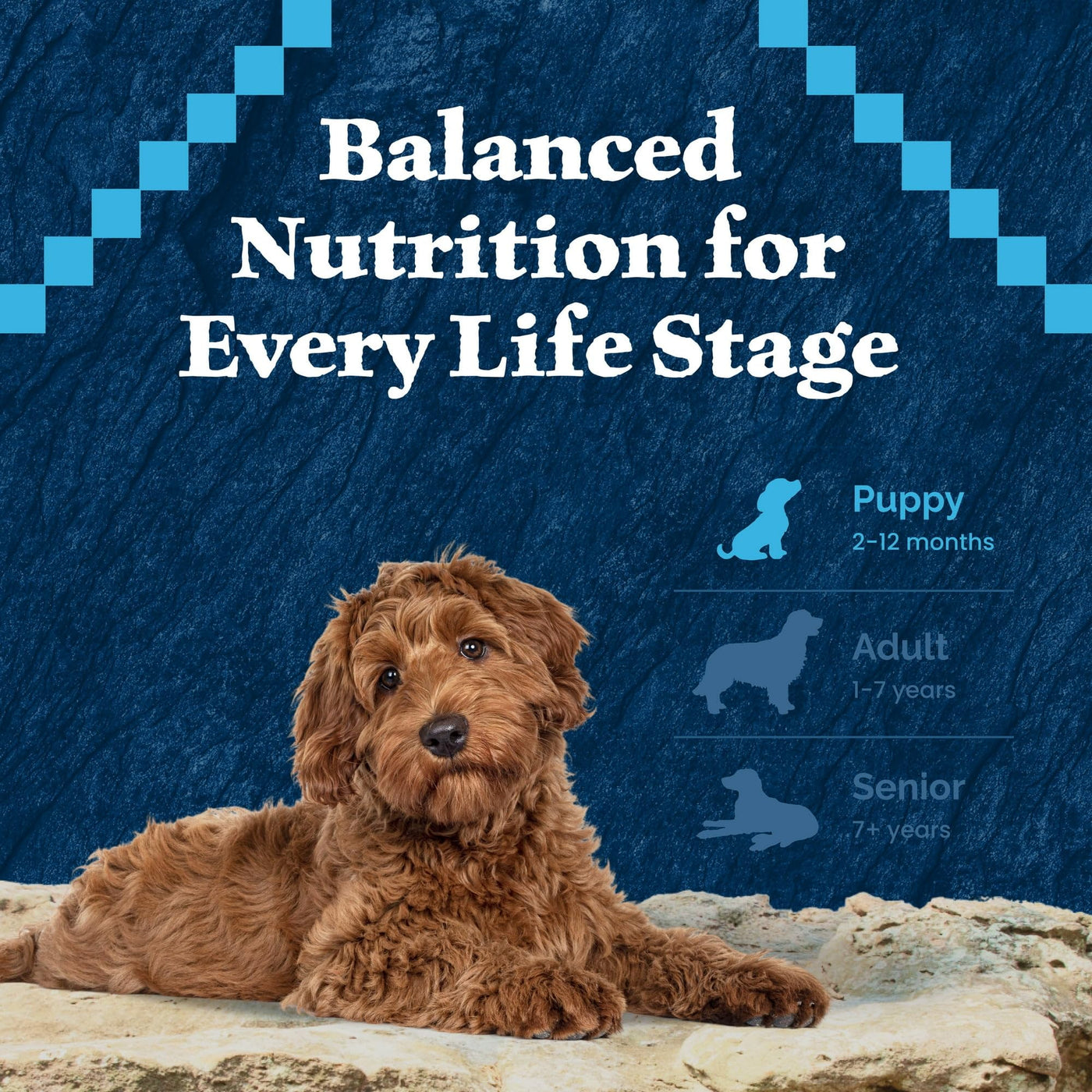 Trase A Wilderness High-Protein Natural Puppy Dry Food, Chicken Recipe - Formulated with Vitamins, Minerals, and Nutrients - 24 lb. Bag