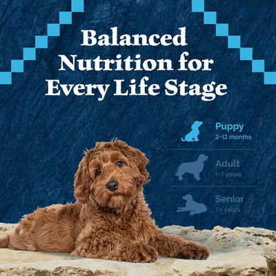 Trase A Wilderness High-Protein Natural Puppy Dry Food, Chicken Recipe - Formulated with Vitamins, Minerals, and Nutrients - 24 lb. Bag