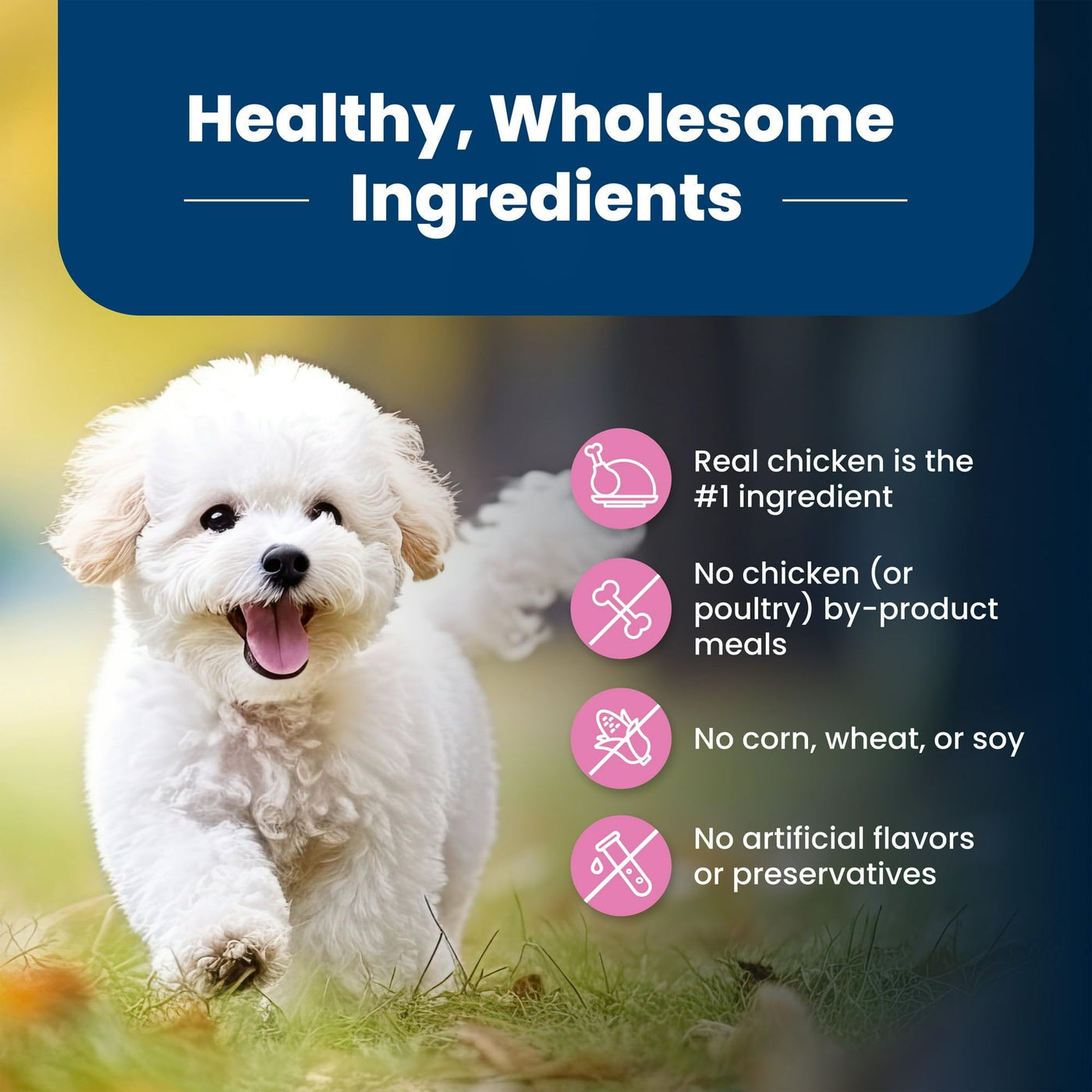 Trase A Life Protection Formula Small Breed Dry Dog Food Chicken & Brown Rice - Contains Essential Proteins and Carbs to Support Higher Energy Requirements of Small Breed Dogs - 5 lbs