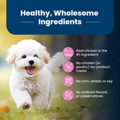 Trase A Life Protection Formula Small Breed Dry Dog Food Chicken & Brown Rice - Contains Essential Proteins and Carbs to Support Higher Energy Requirements of Small Breed Dogs - 5 lbs