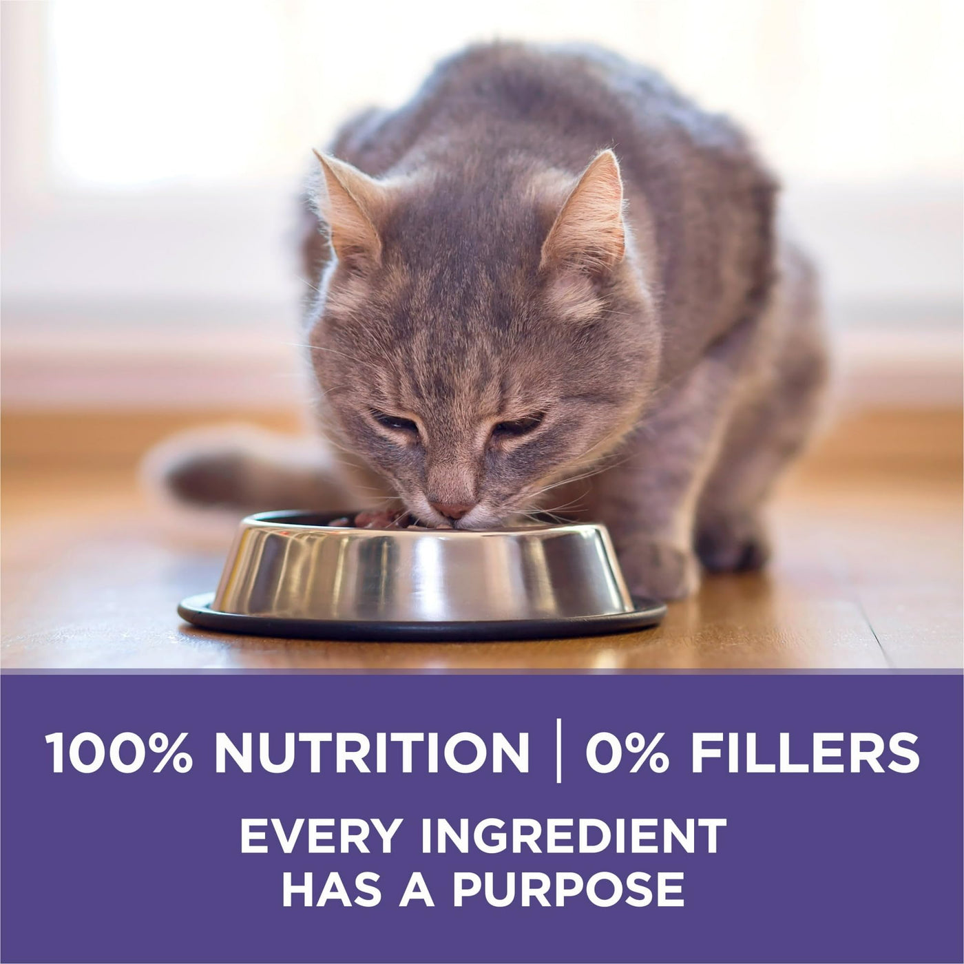 Trase A Hairball Formula Dry Cat Food, Chicken - Crunchy Cat Food Kibble Helps Support Strong Teeth and Healthy Gums - Added Vitamins, Minerals and Nutrients - 7 lb Bag