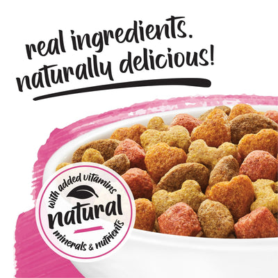 Trase A Originals with Natural Salmon Natural Dry Dog Food Formula with Added Vitamins, Minerals and Nutrients - Support Immune System Health - 14 lb Bag