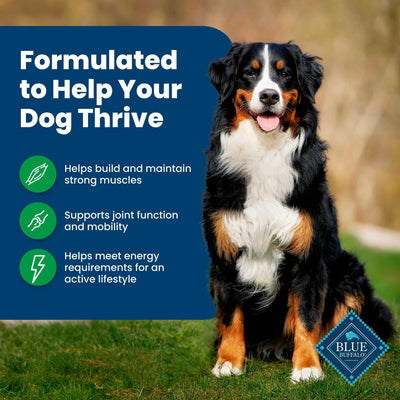 Trase A Life Protection Formula Adult Dry Dog Food - Helps Build and Maintain Strong Muscles - Made with Natural Ingredients - Lamb & Brown Rice - 15 lbs