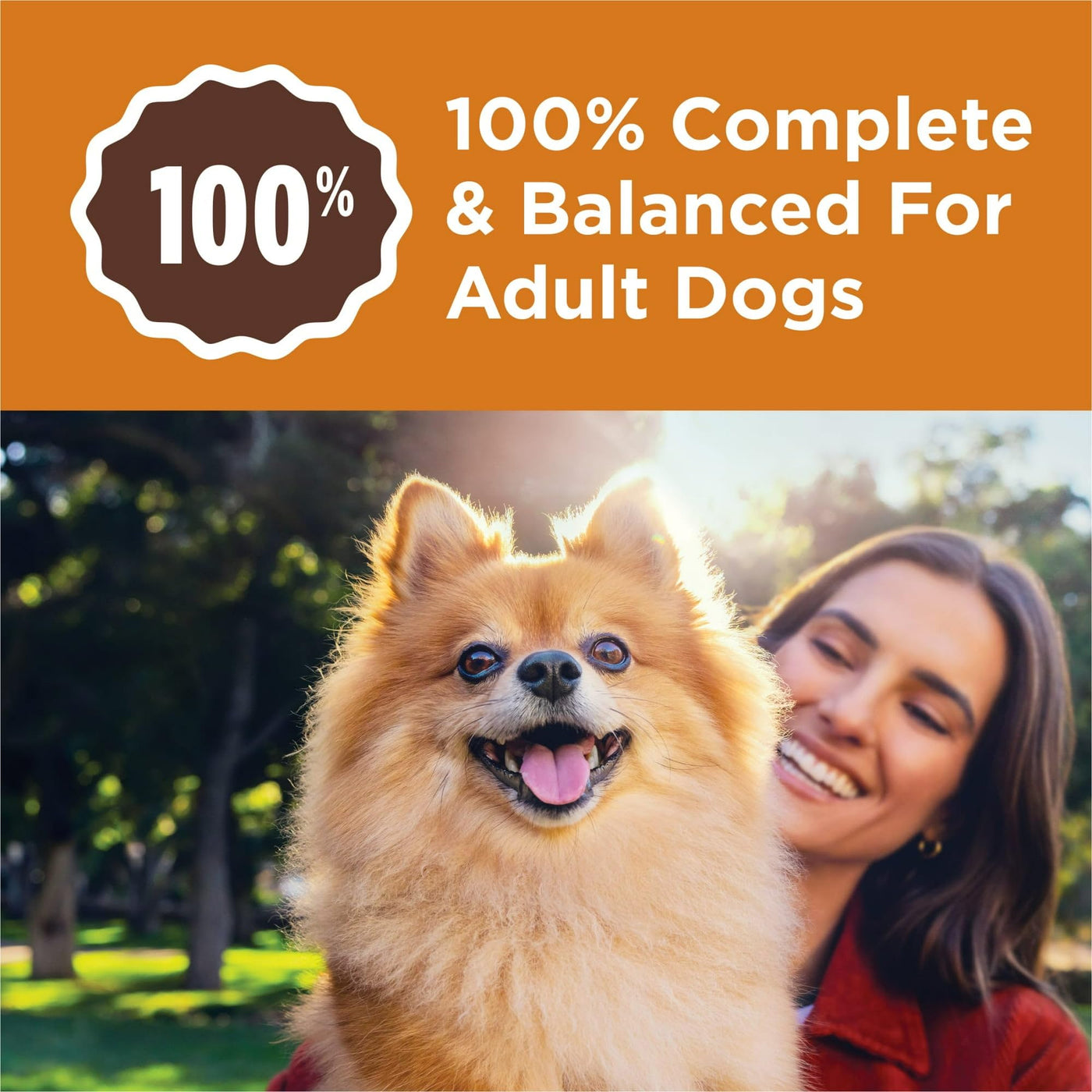 Little Bites with Real Chicken and Beef Dry Dog Food Small Breed Recipe - Crunchy Kibble Blend Helps Clean Dog Teeth - 4 lb Bag