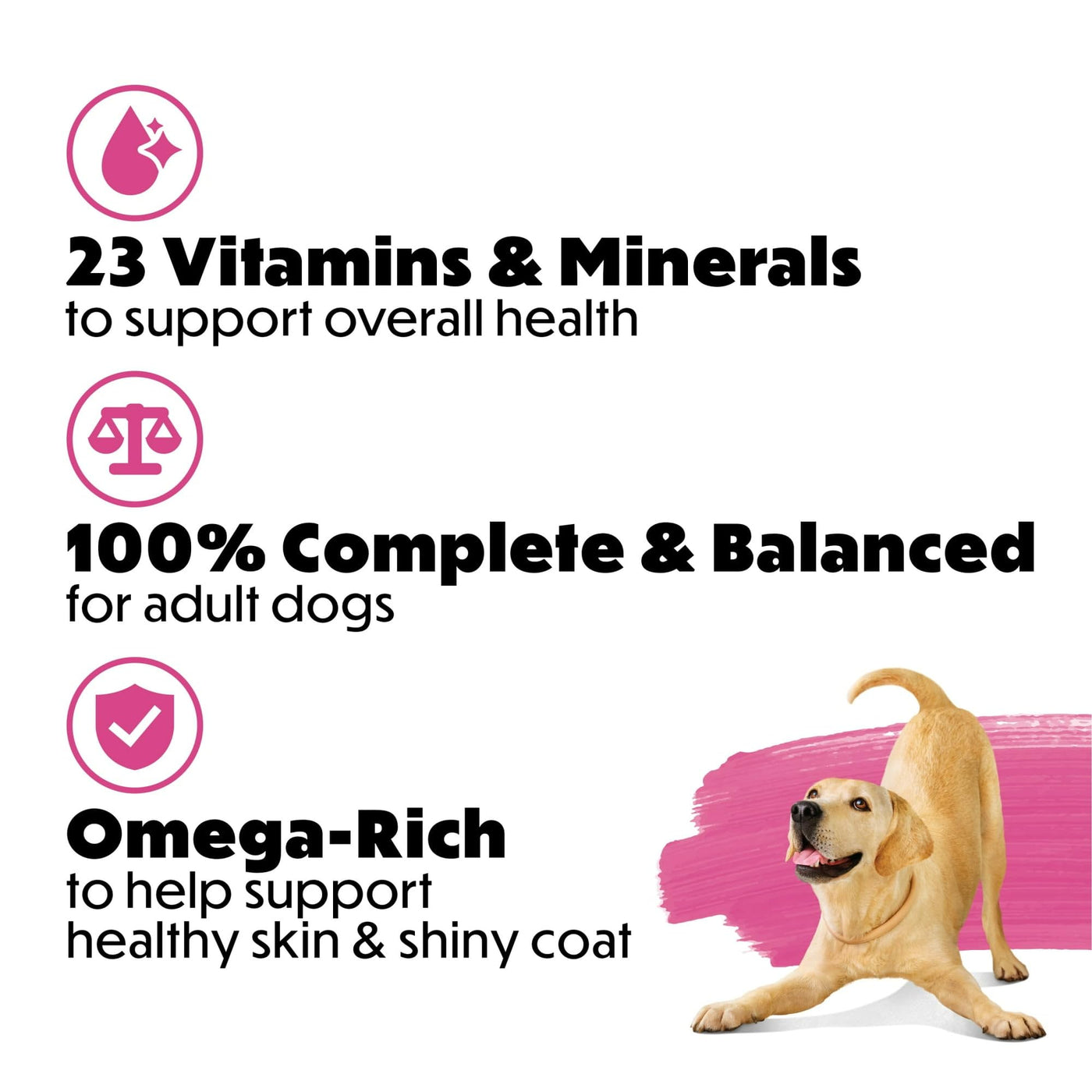 Trase A Originals with Natural Salmon Natural Dry Dog Food Formula with Added Vitamins, Minerals and Nutrients - Support Immune System Health - 14 lb Bag