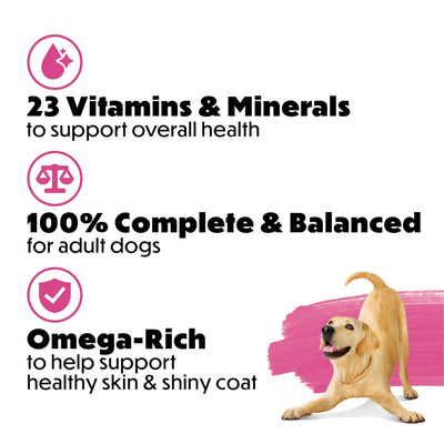 Trase A Originals with Natural Salmon Natural Dry Dog Food Formula with Added Vitamins, Minerals and Nutrients - Support Immune System Health - 14 lb Bag