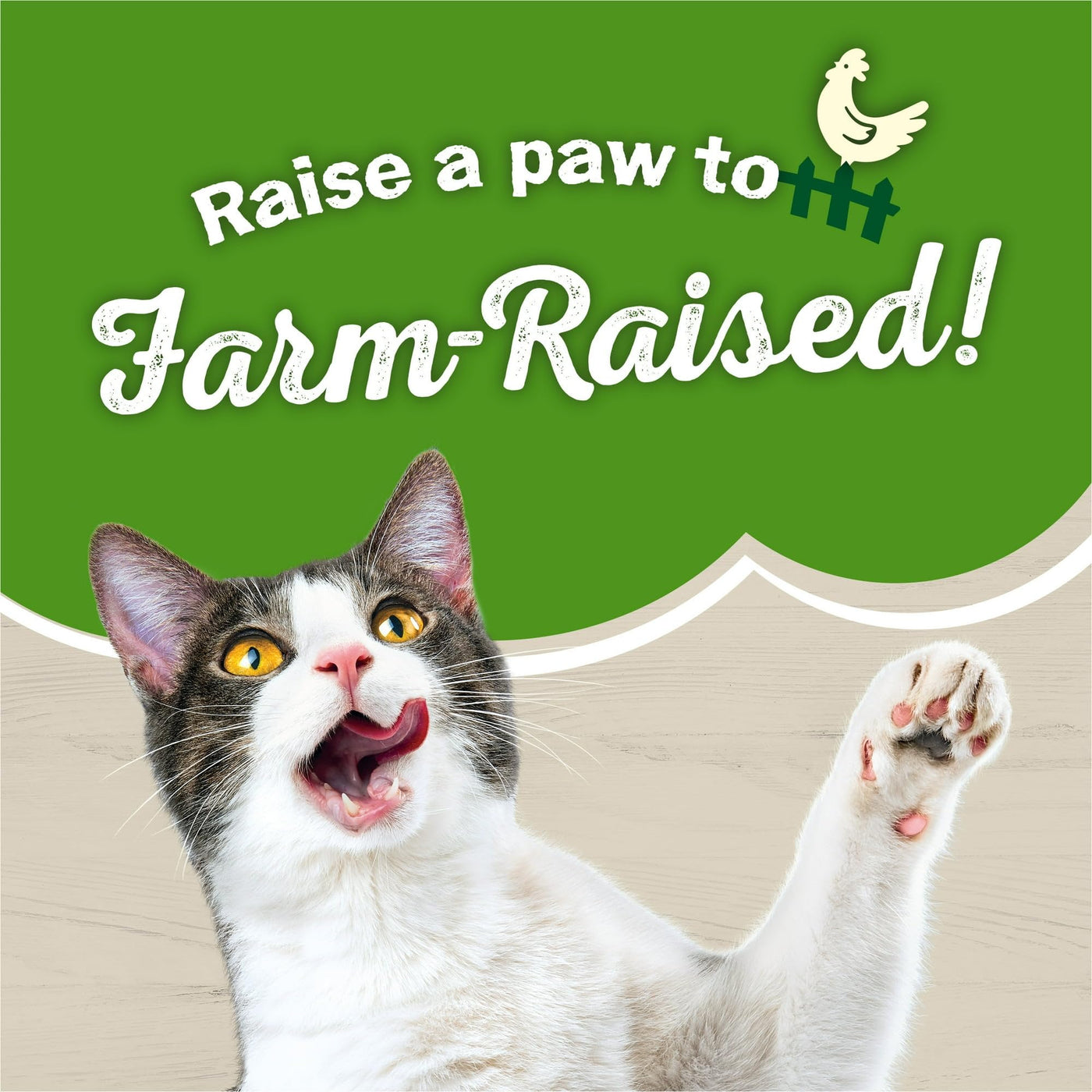 Trase A Farm Favorites Indoor Dry Cat Food - Chicken & Carrots - Contains Antioxidants to Help Support a Healthy Immune System - Made Without Artificial preservatives - 3.15 Lb Bag