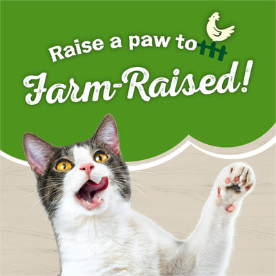 Trase A Farm Favorites Indoor Dry Cat Food - Chicken & Carrots - Contains Antioxidants to Help Support a Healthy Immune System - Made Without Artificial preservatives - 3.15 Lb Bag