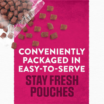 Trase A Dry Dog Food - High Protein Steak Flavor with Real Beef - Adult Dog Food Nutrition - 6 oz Pouches (36 Pack)