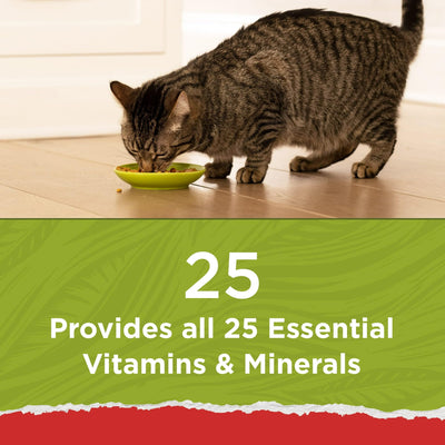 Trase A Naturals with Added Vitamins, Minerals and Nutrients Dry Cat Food - Naturals Original - Chicken & Salmon - 3.15 lb Bag