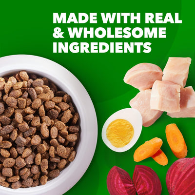 Proactive Health Minichunks Dry Dog Food with Real Chicken and Whole Grains - Enriched with Antioxidants to Help Maintain a Strong Immune System - 15 lb. Bag