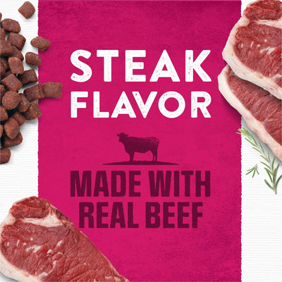 Trase A Dry Dog Food - High Protein Steak Flavor with Real Beef - Adult Dog Food Nutrition - 6 oz Pouches (36 Pack)